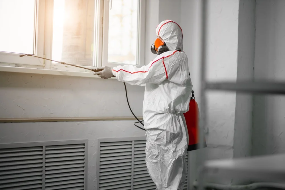 Professional mold remediation services in Molalla, OR